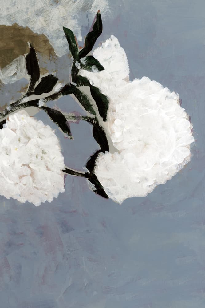 Soft White Blooms by cartissi — canvas wall art