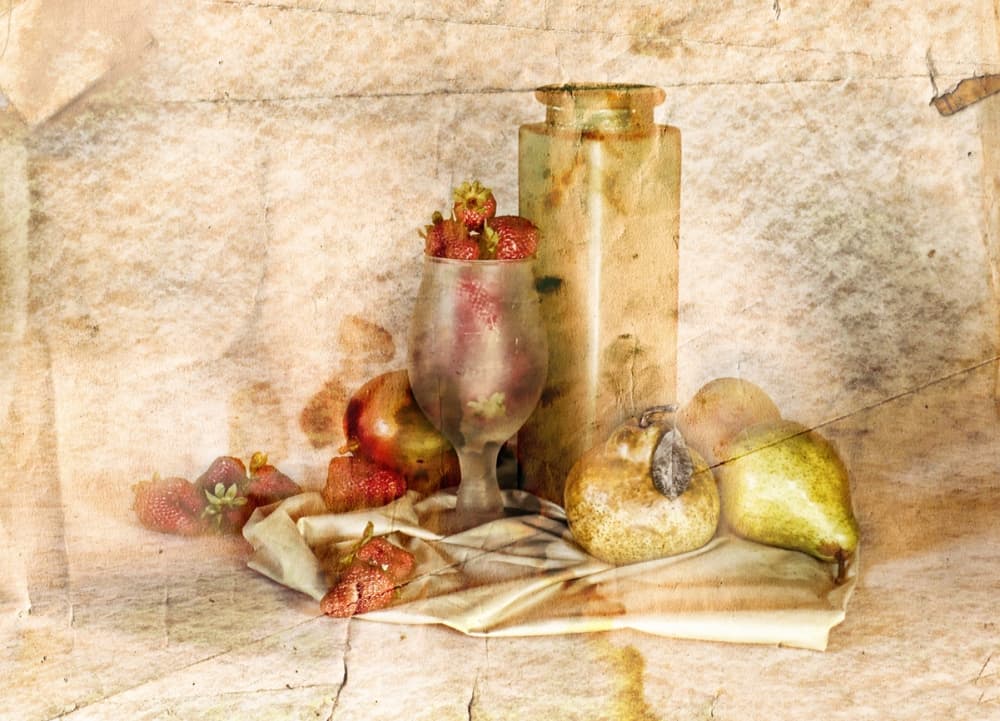 Vintage Fruit Still Life by Silvia Simonato — canvas wall art