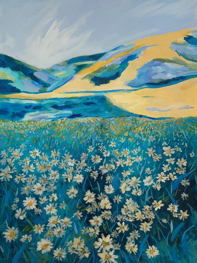 Golden Hills Daisy Field by Claire Whitehead — canvas wall art