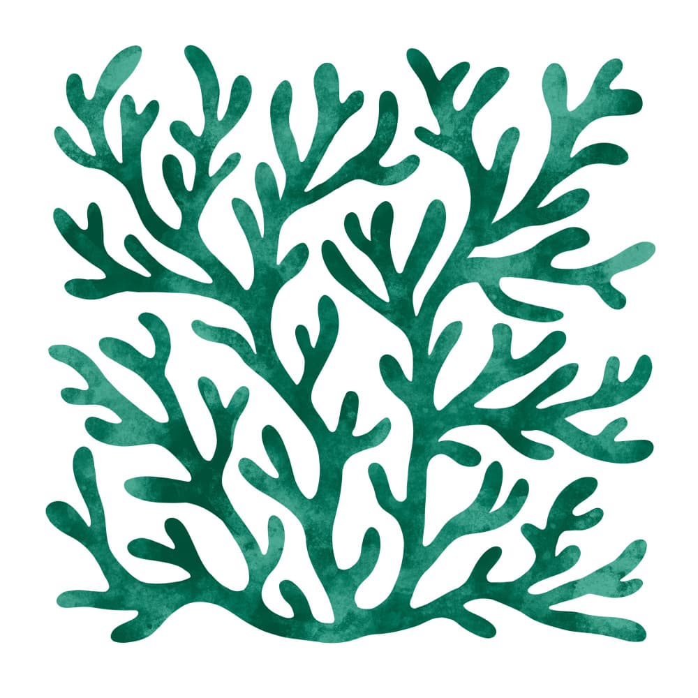 Organic Teal Seaweed by EMELIEmaria — canvas wall art