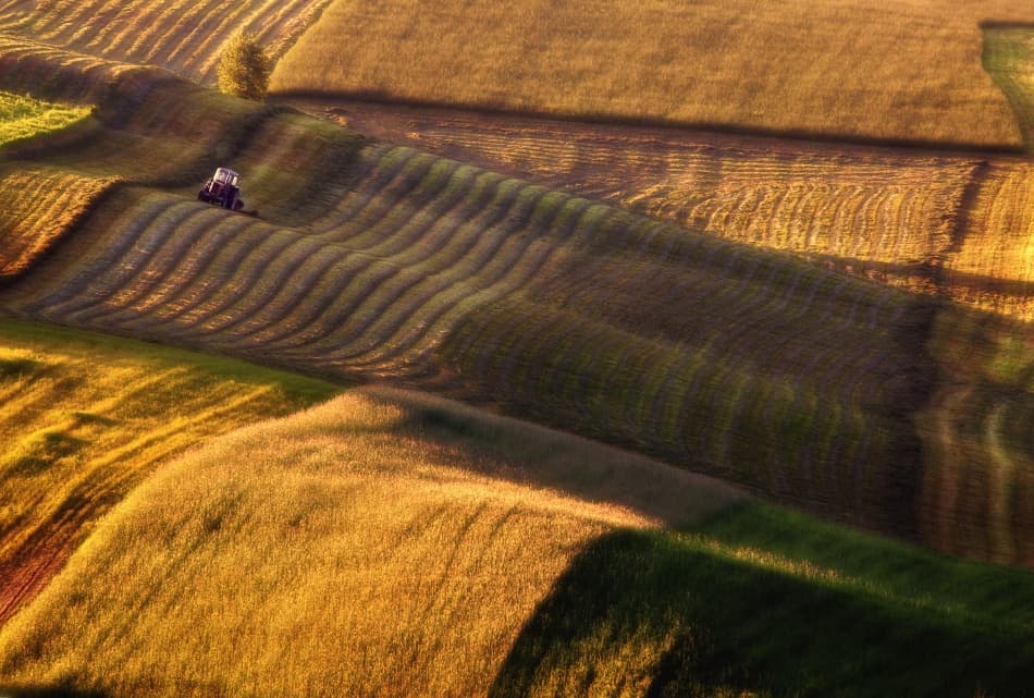 Tractor in Golden Fields by Przemyslaw Kruk — canvas wall art