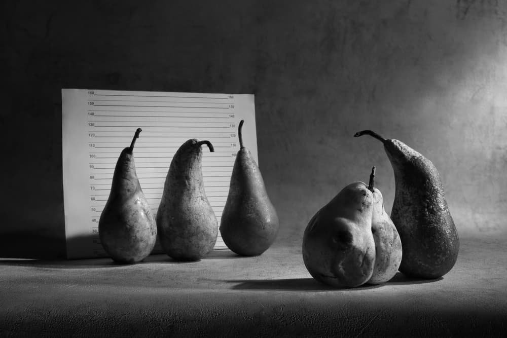 Humorous Pear Lineup by Victoria Glinka — canvas wall art