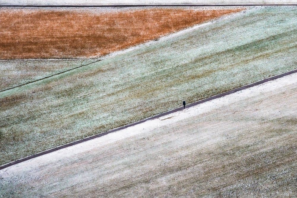 Snowy Fields Solitary Walk by Sebastian Prioteasa — canvas wall art