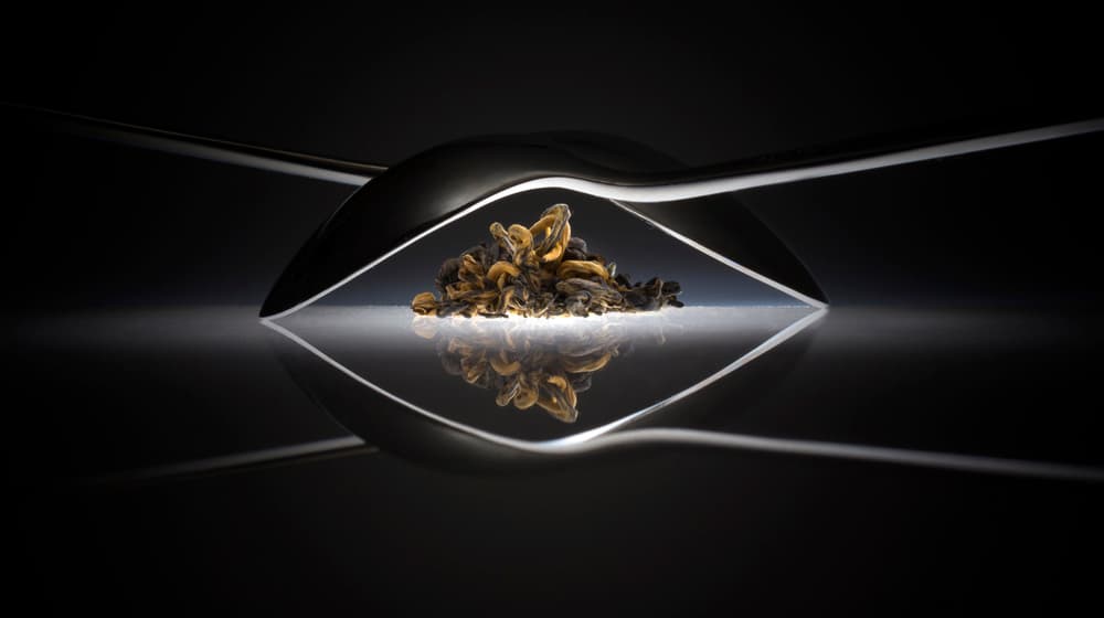 Golden Tea Reflection by Wieteke de Kogel — canvas wall art
