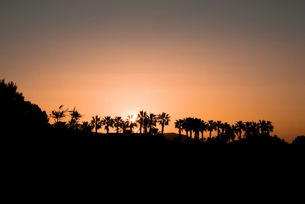 Tropical Sunset Palms by Henrike Schenk — canvas wall art