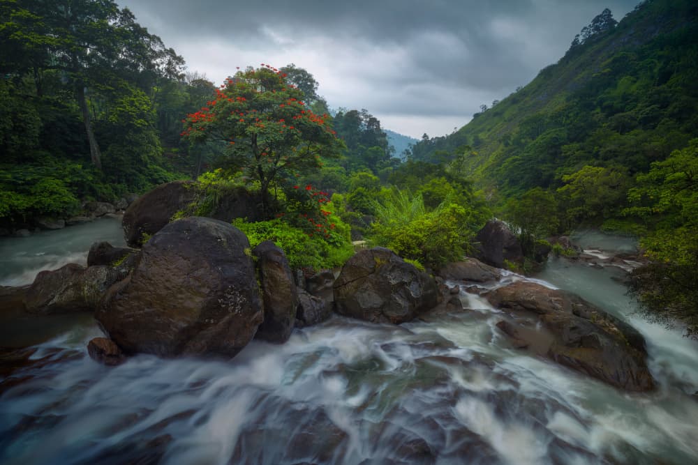 Lush Mountain River Flow by SANDEEP MATHUR — canvas wall art