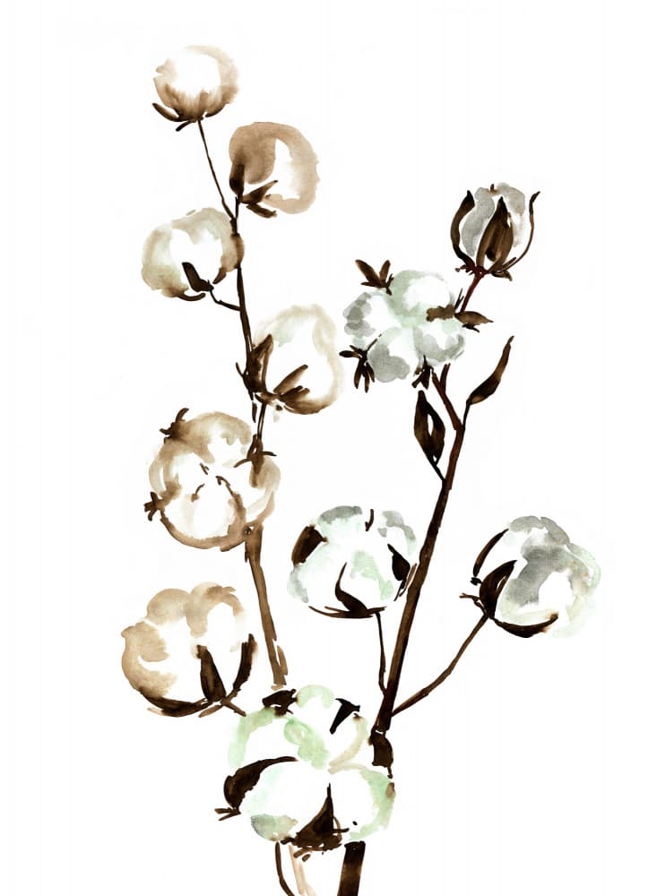 Fluffy Cotton Branches by Rosana Laiz Blursbyai — canvas wall art