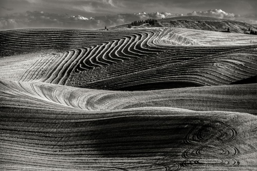 Rolling Field Patterns by Charles Lai — canvas wall art