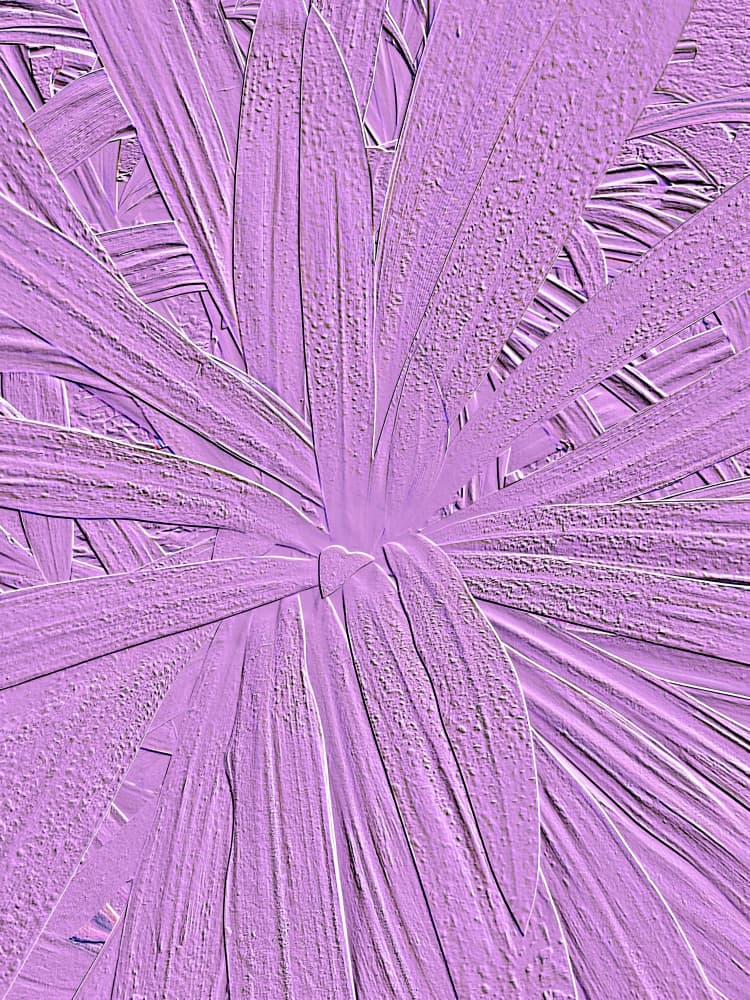 Textured Lavender Leaves by Santhosh ch — canvas wall art