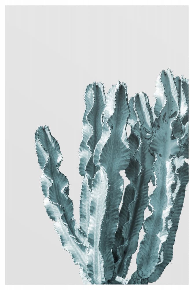 Cactus Elegance by THE MIUUS STUDIO — canvas wall art