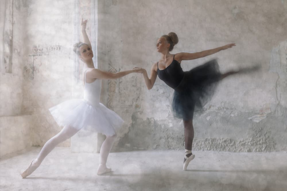 Graceful Ballet Duo by Roswitha Schleicher-Schwarz — canvas wall art