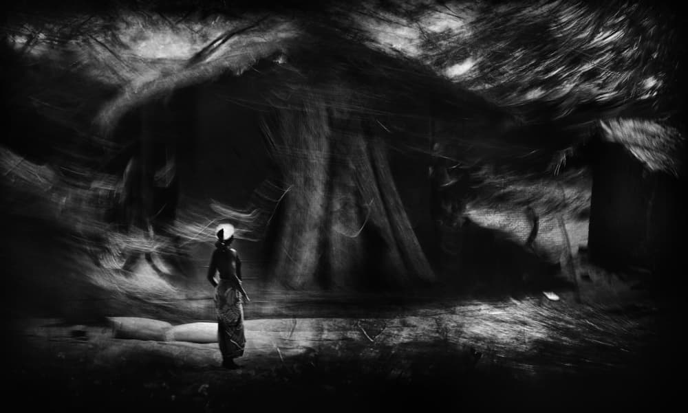 Woman In Ethereal Forest by Antonio Grambone — canvas wall art