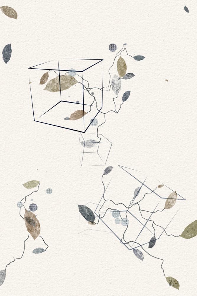 Floating Geometric Leaves