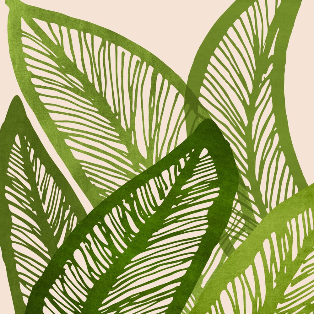Green Tropics Sq by Kristian Gallagher — canvas wall art