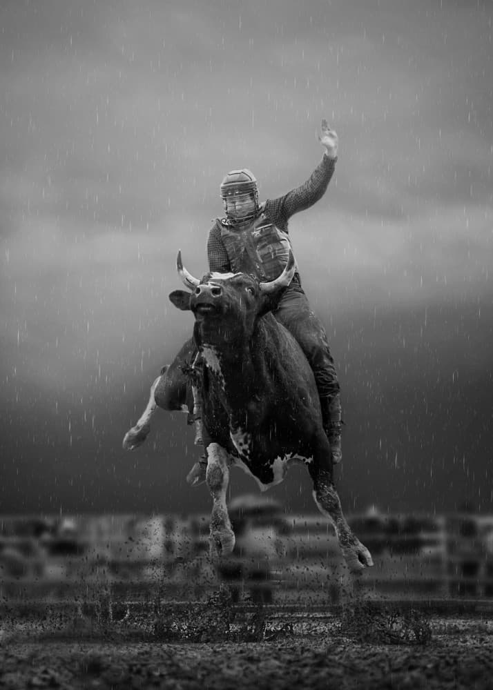 Rainy Day Bull Riding by Leeian Dai — canvas wall art