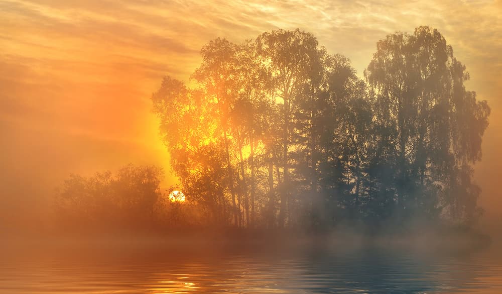 Golden Morning Mist by Keller — canvas wall art