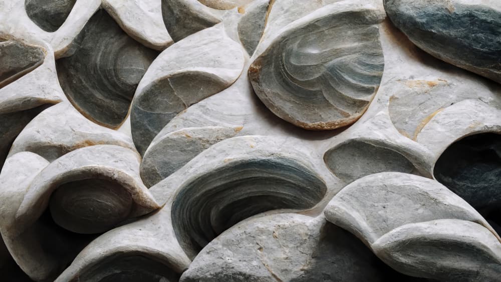 Stone Petal Harmony by Treechild — canvas wall art