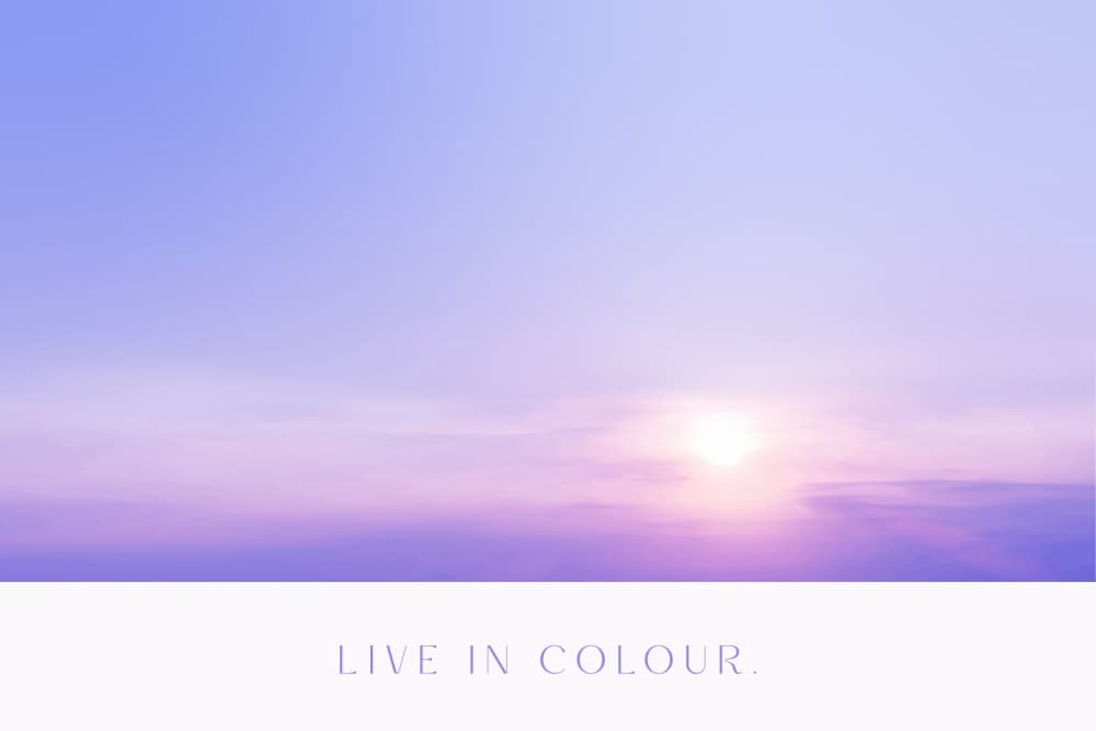 Liveincolour by Treechild — canvas wall art