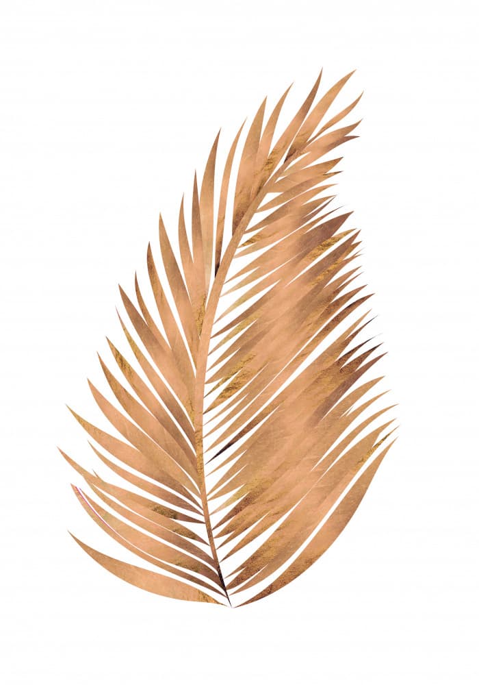 Golden Palm Leaf by Sarah Manovski — canvas wall art