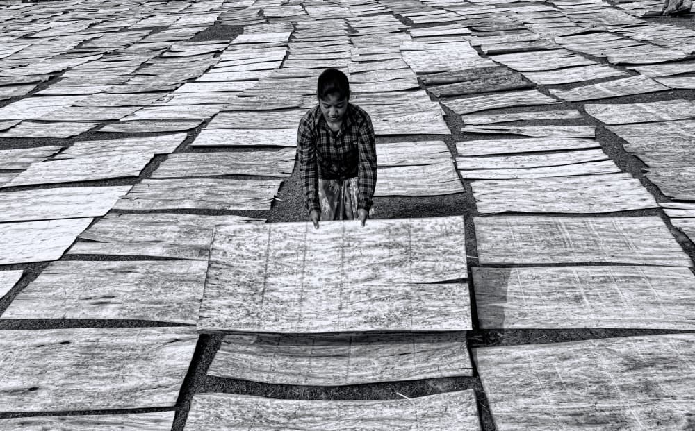Boy Drying Sheets Field by Ajit Kumar Majhi — canvas wall art