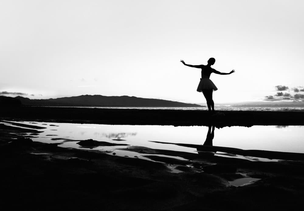Graceful Sunset Dance by Paulo Medeiros — canvas wall art