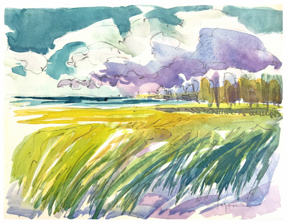 Serene Meadow Skies by Dorothy Fagan — canvas wall art