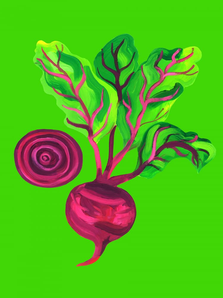 Beetroot Swirl Green by Alice Straker — canvas wall art