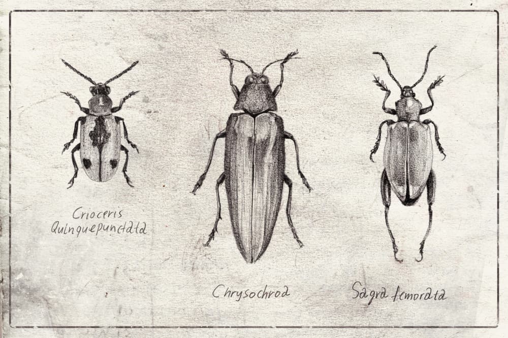 Insect Symphony by Mike Koubou — canvas wall art