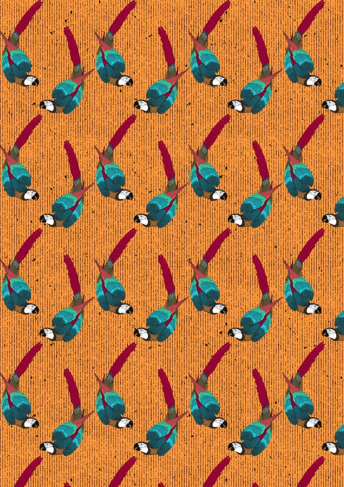 Tropical Macaw Pattern
