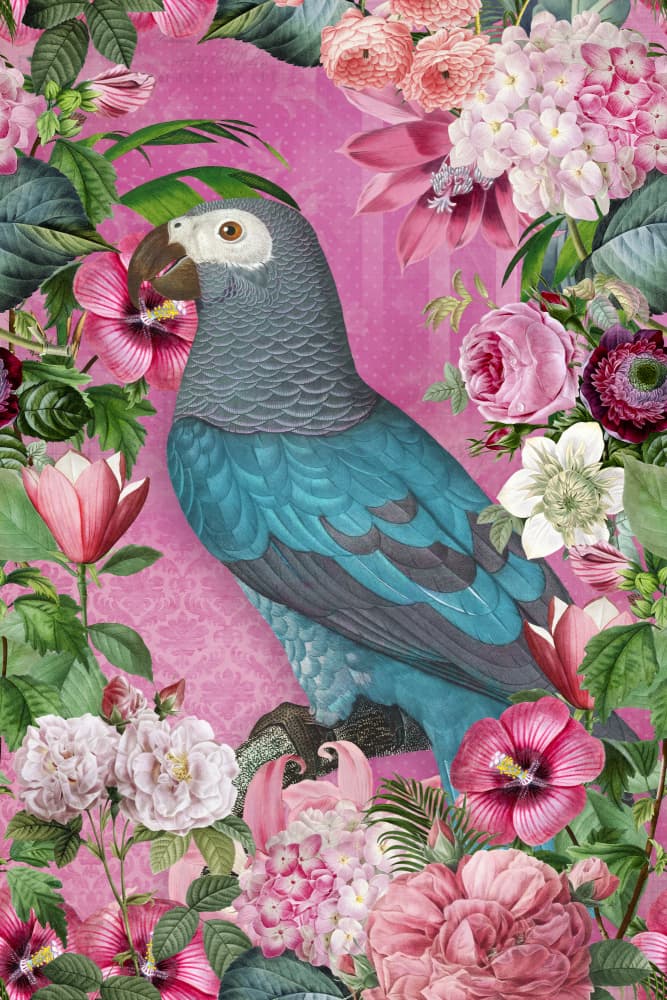 Exotic Parrot Pink Flowers by Andrea Haase — canvas wall art