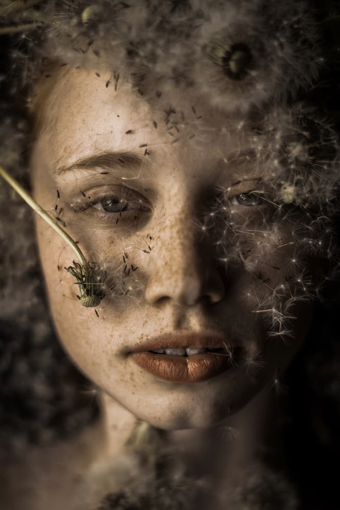 Dandelion Dream Portrait by Barbora Biňovcová — canvas wall art