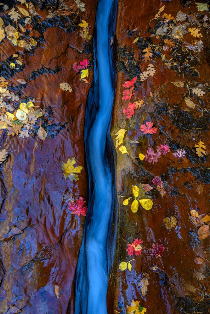 Vibrant Autumn Stream by Johnny Zhang — canvas wall art