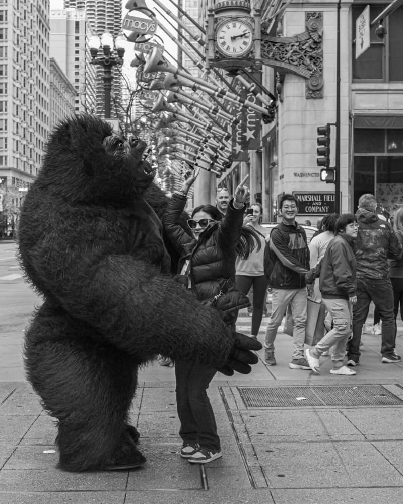 Urban Gorilla Performance by Wendy Fischer Hartman — canvas wall art
