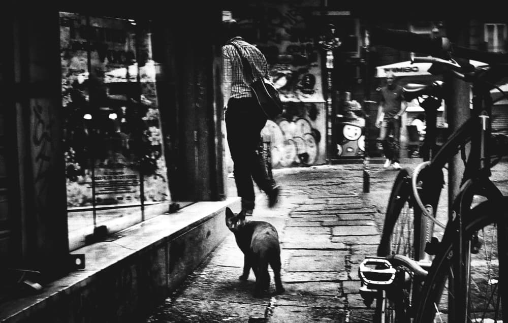Urban Stroll with Dog by Antonio Grambone — canvas wall art