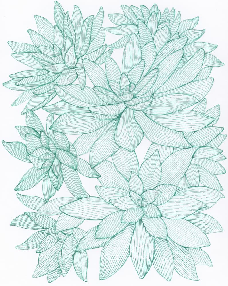 Turquoise Succulents by Katie O'Shea — canvas wall art