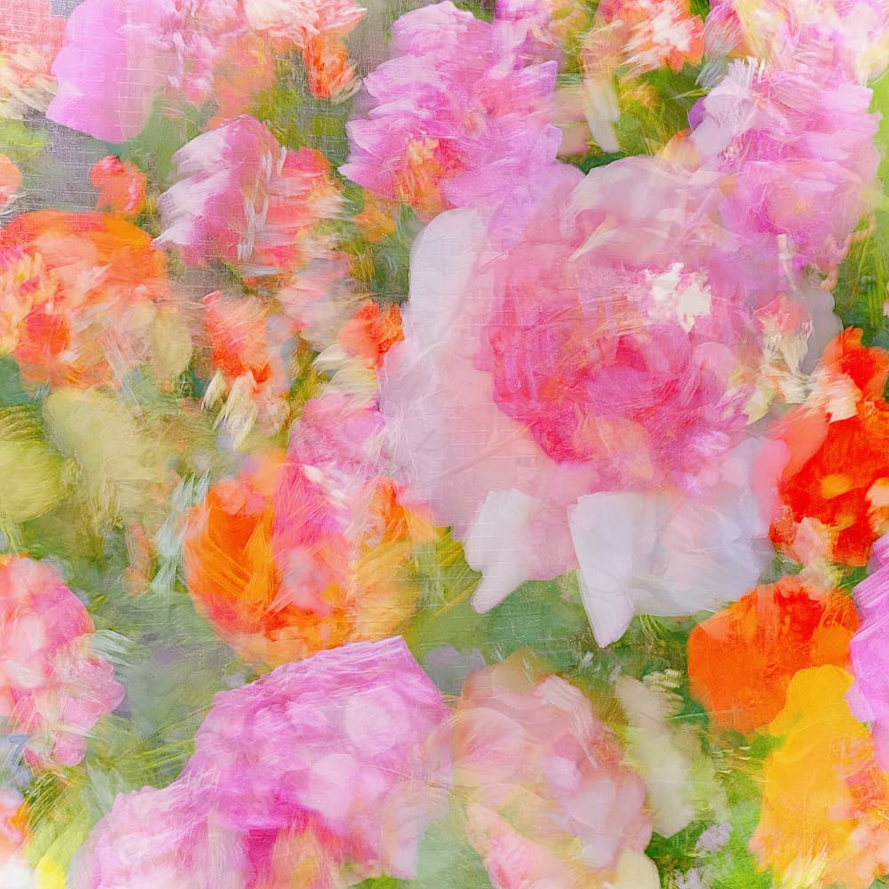 Dreamy Floral Abstract by Molly Fu APA — canvas wall art