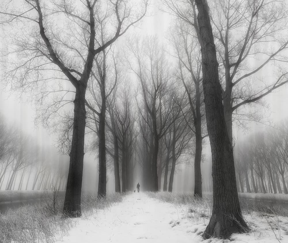 Misty Winter Walk by Yvette Depaepe — canvas wall art