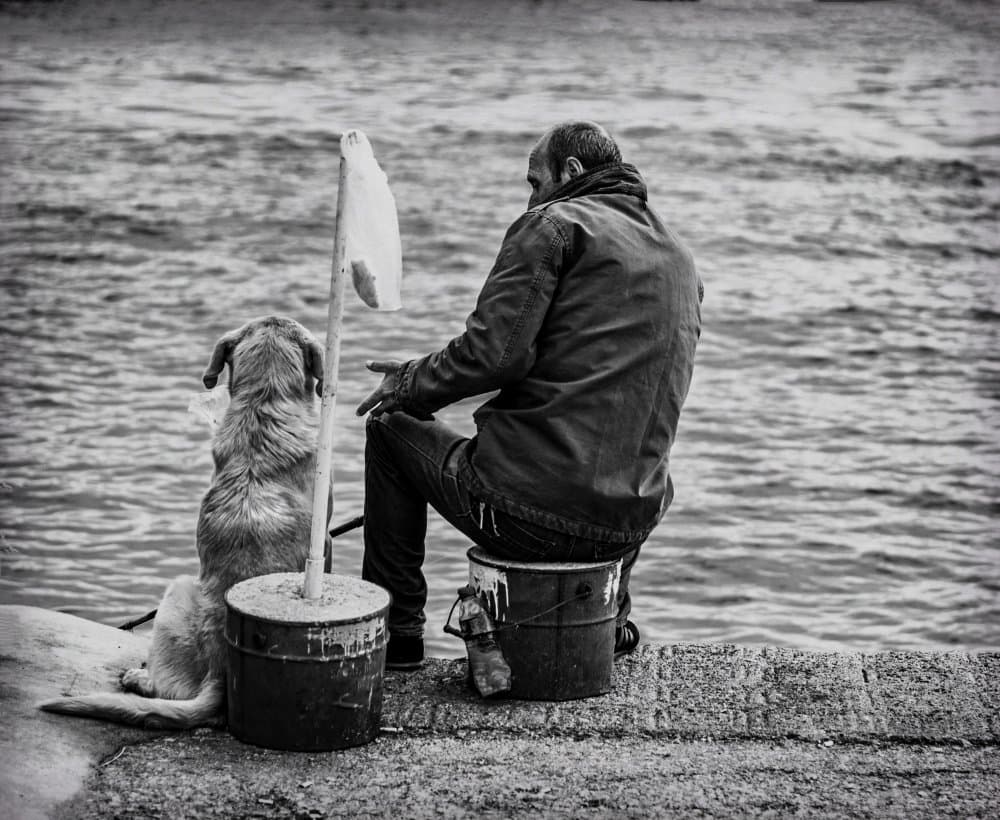 Loyal Companions By Water by Ömer Ates Kızıltug — canvas wall art