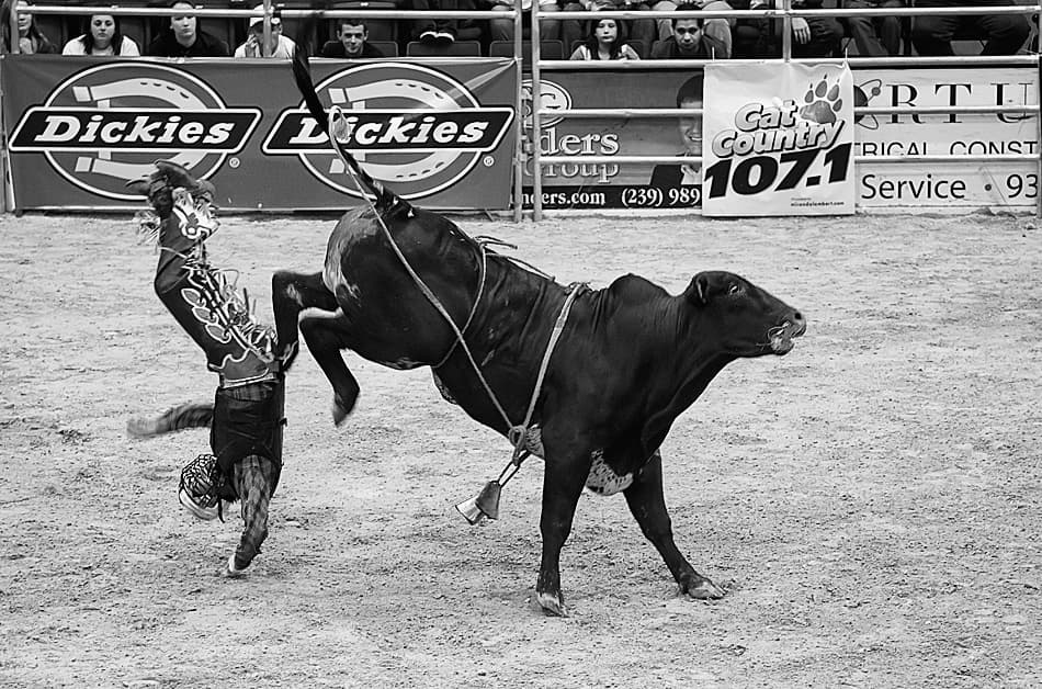 Cowboy Bull Riding Action by Fabiola Forns — canvas wall art