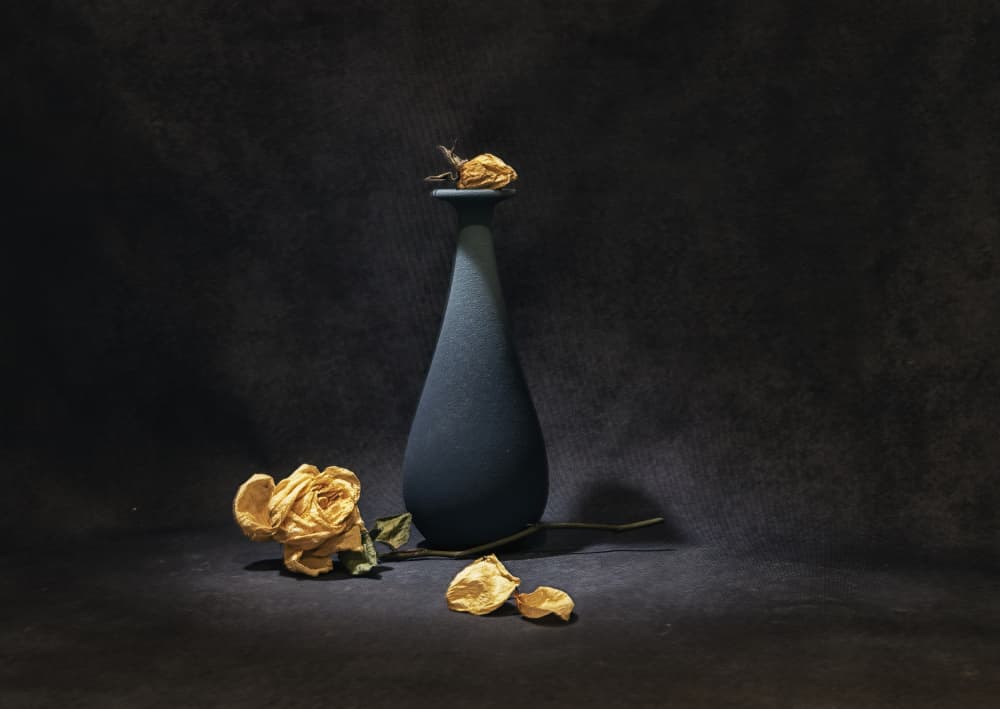 Melancholy Dried Roses by Betty Liu — canvas wall art