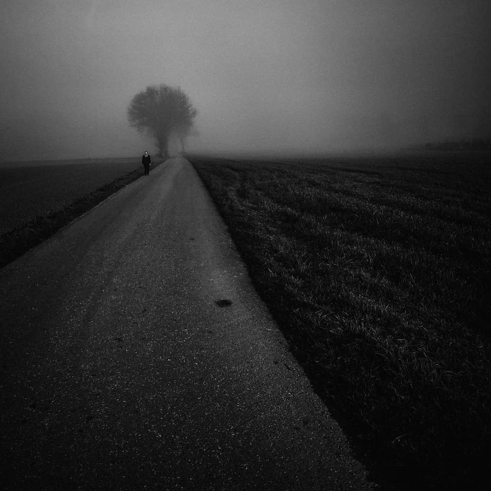 Misty Road Lone Figure by Renate Wasinger — canvas wall art