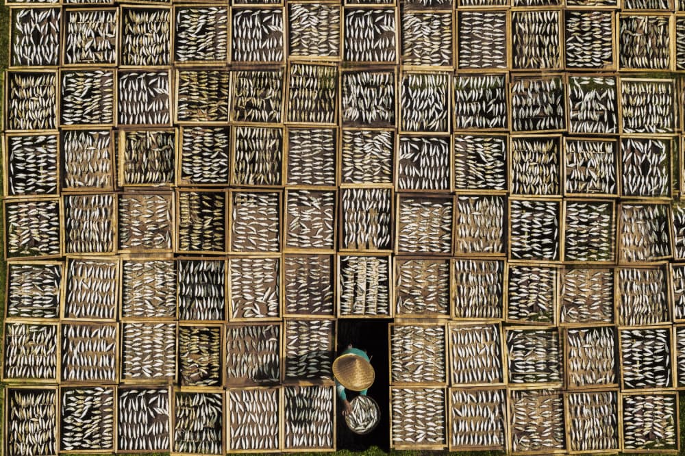 Drying Fish Pattern by Gatot Herliyanto — canvas wall art