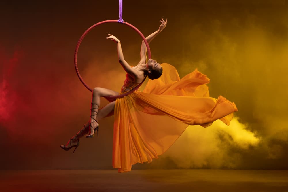 Graceful Aerial Dance by Lisdiyanto Suhardjo — canvas wall art