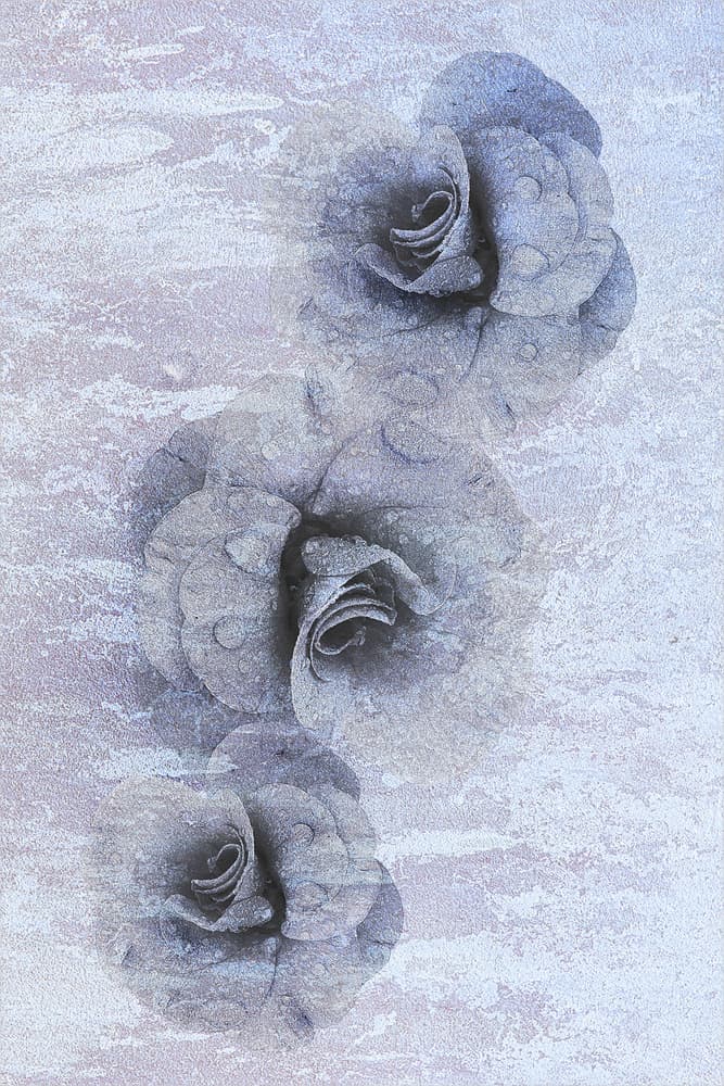 Frosted Blue Roses by Ludmila Shumilova — canvas wall art