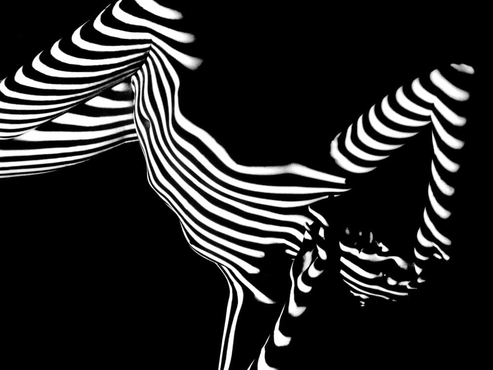 Zebra Body Art by Ruslan Kolodenskiy — canvas wall art