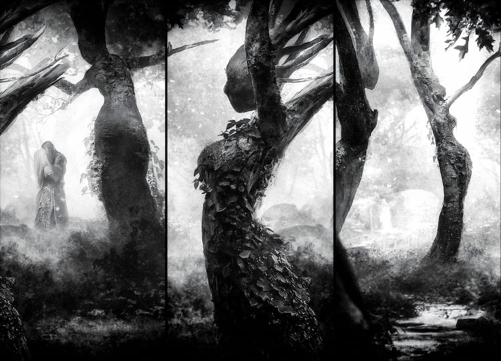 Enchanted Forest Embrace by Holger Droste — canvas wall art