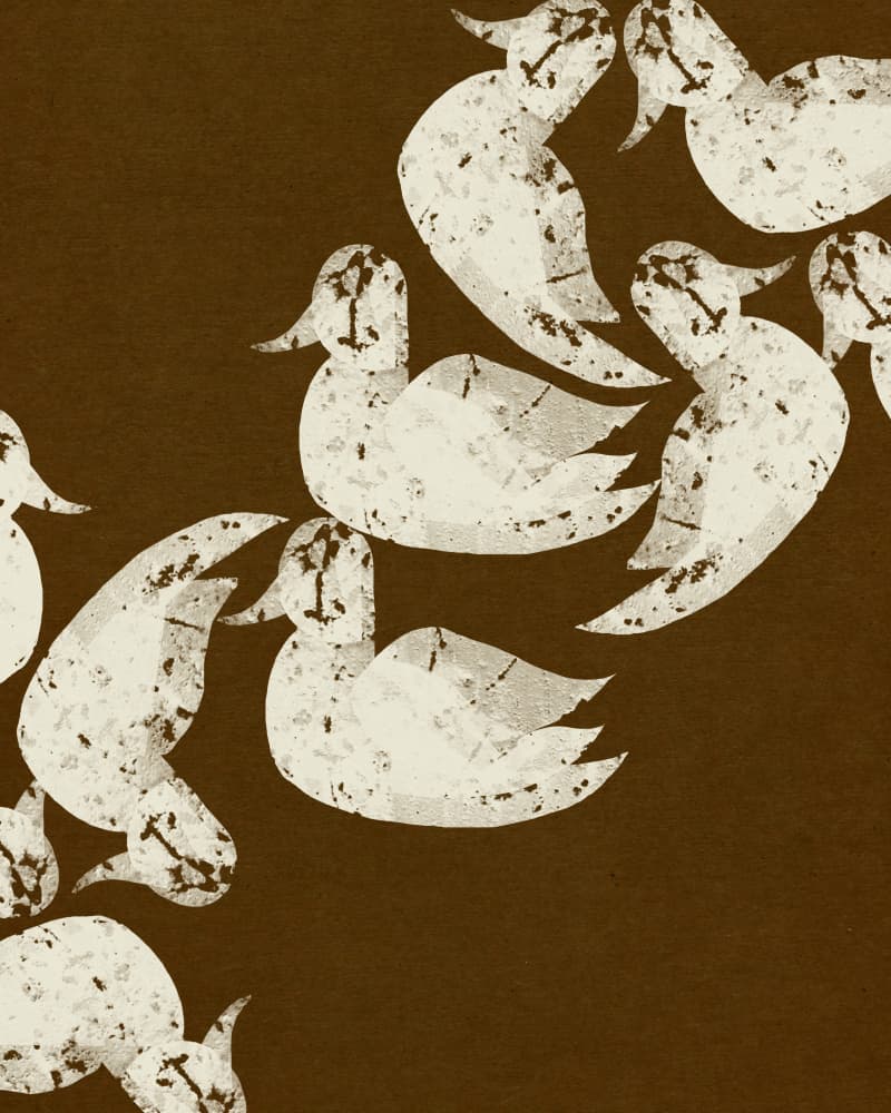 Rustic Duck Pattern by Josie George — canvas wall art