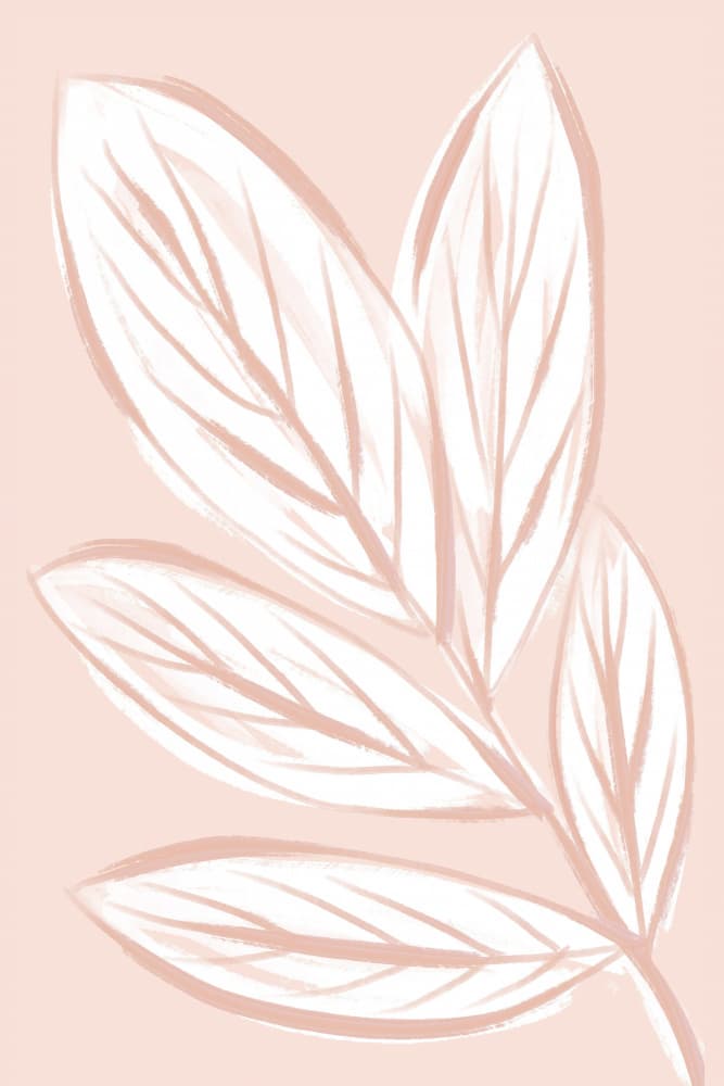 Soft Pink Botanicals by Martina — canvas wall art