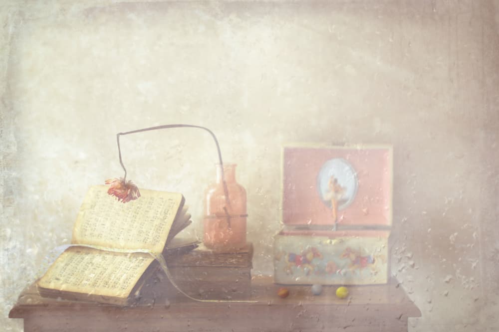 Faded Book and Music Box by Delphine Devos — canvas wall art
