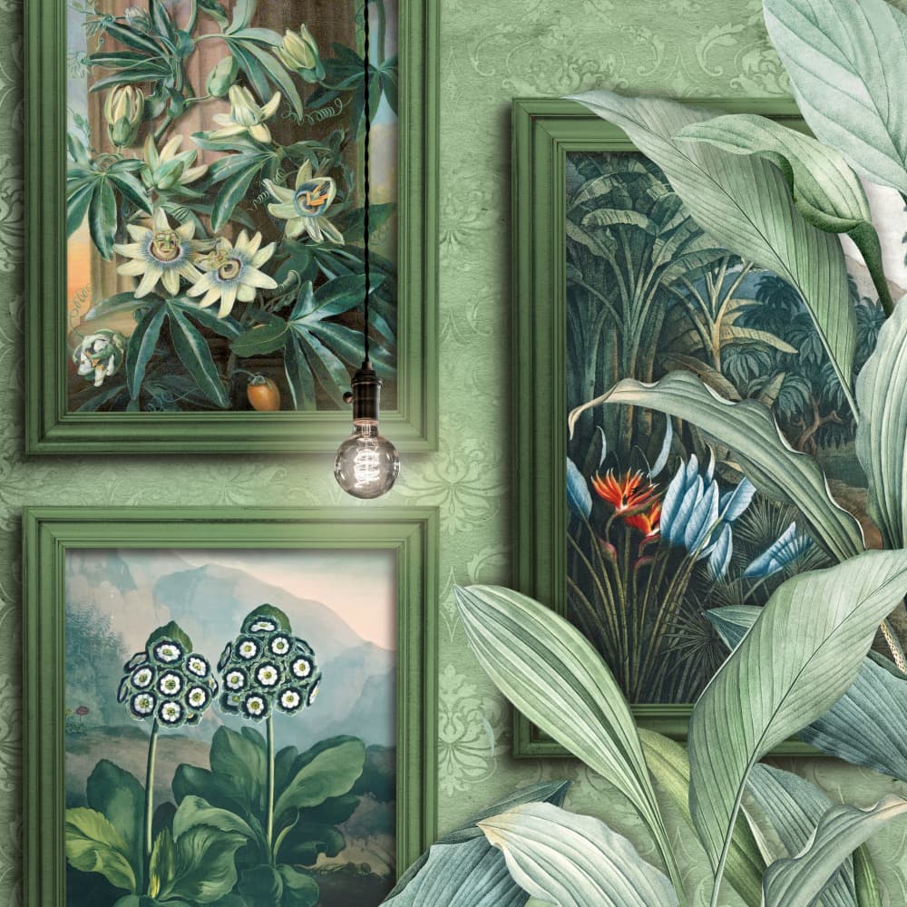 Lush Botanical Gallery